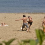 _DSC0291