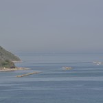 _DSC0303