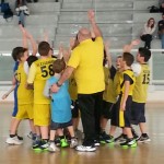 4°cminiabsket